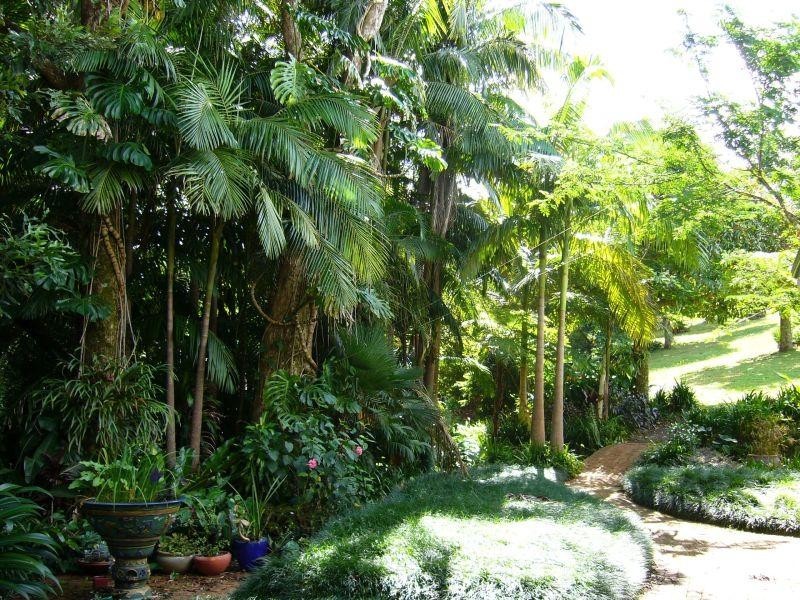 500 Rosebank Road, Rosebank NSW 2480