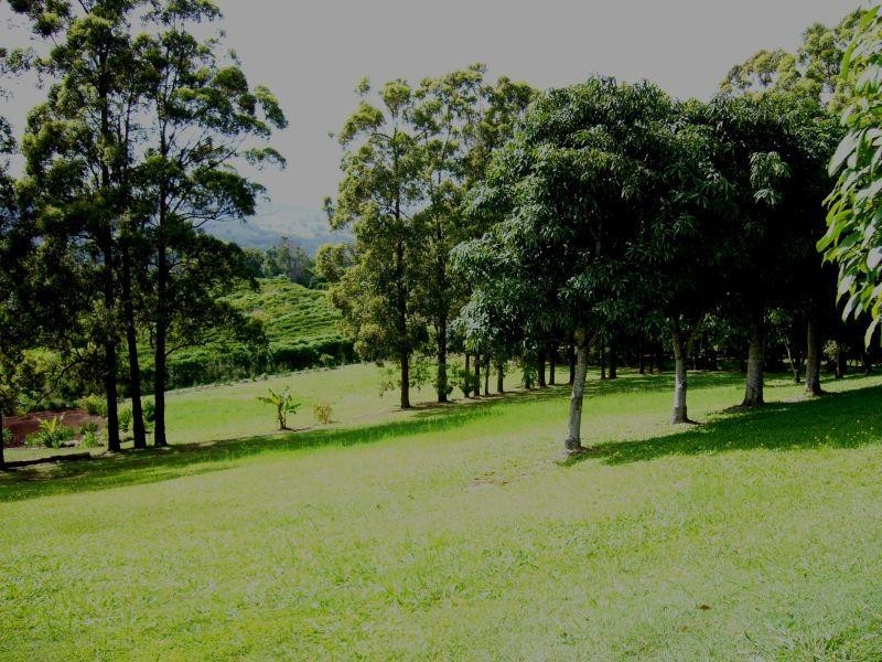 500 Rosebank Road, Rosebank NSW 2480