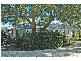 711 Federal Drive, Federal NSW 2480