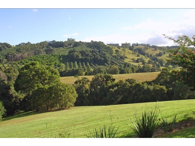 499 BINNA BURRA ROAD, Binna Burra NSW 2479