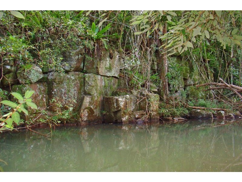 499 BINNA BURRA ROAD, Binna Burra NSW 2479