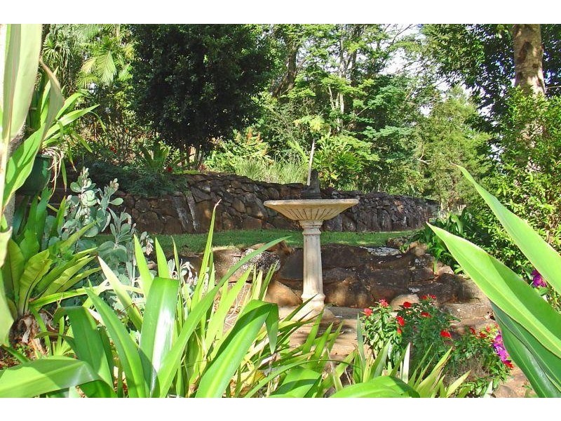 499 BINNA BURRA ROAD, Binna Burra NSW 2479