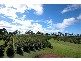 30 BROKEN HEAD ROAD, Newrybar NSW 2479