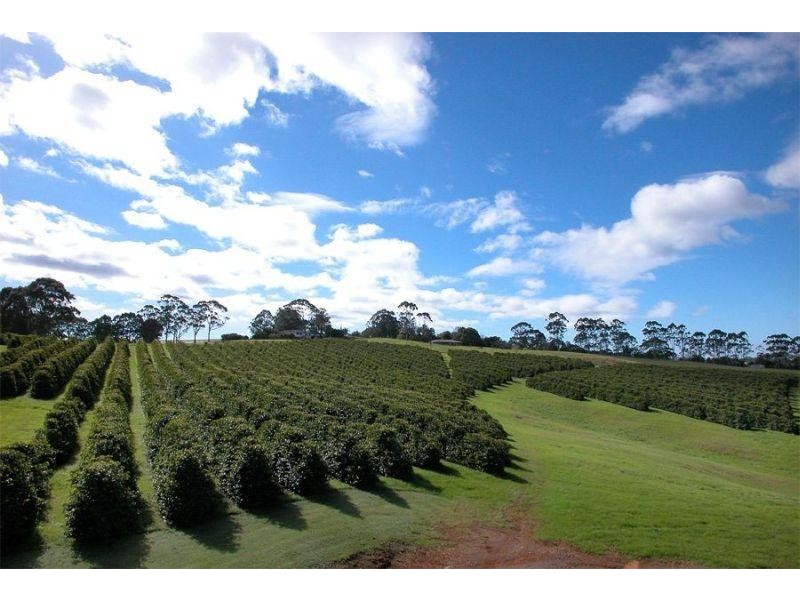 30 BROKEN HEAD ROAD, Newrybar NSW 2479
