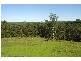 Rosebank NSW 2480