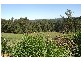 Rosebank NSW 2480