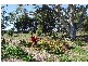 Rosebank NSW 2480