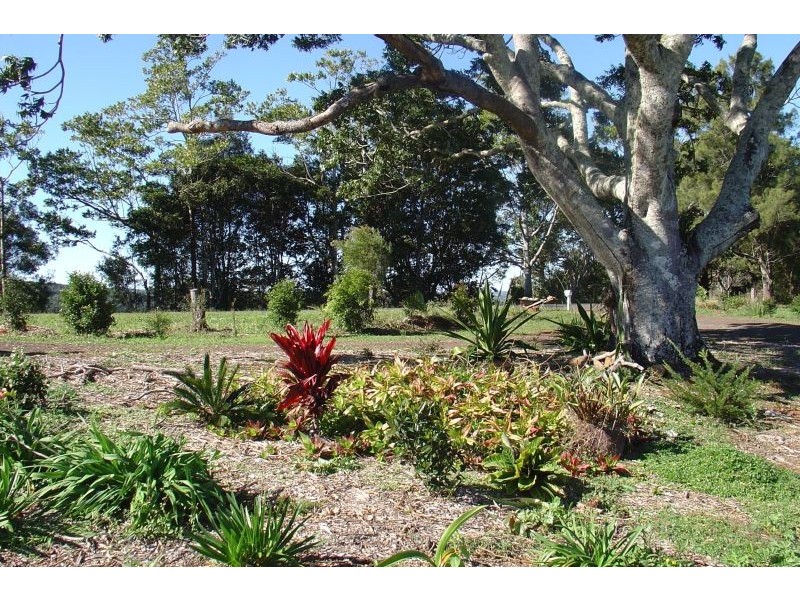 Rosebank NSW 2480