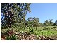 Rosebank NSW 2480