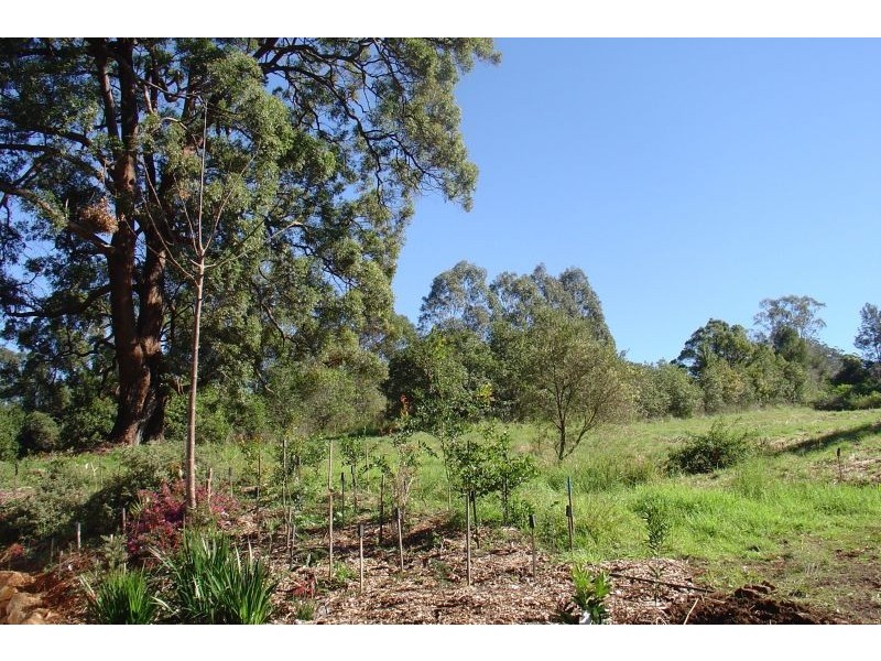 Rosebank NSW 2480