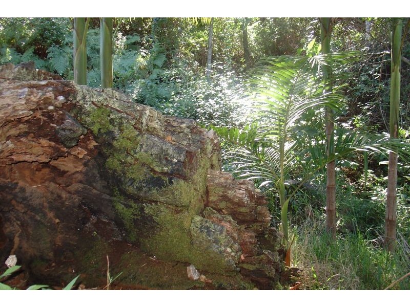 Rosebank NSW 2480