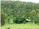 49 Lennoxton Drive, Paterson NSW 2421