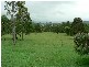 49 Lennoxton Drive, Paterson NSW 2421