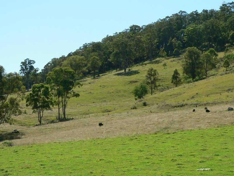 234 Dungog Road, Stroud NSW 2425