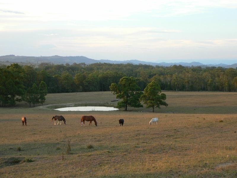 Clarence Town NSW 2321