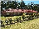 Glen Oak NSW 2320