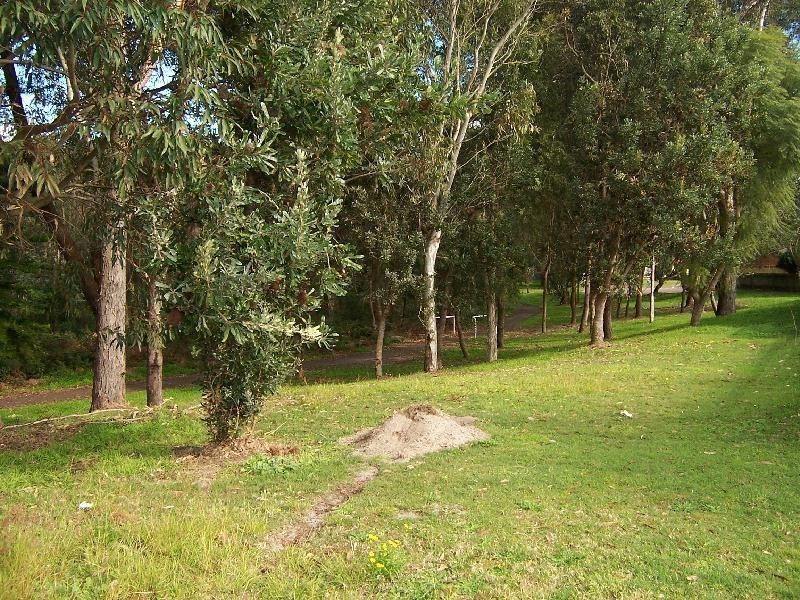 Raymond Terrace NSW 2324