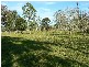 Wallarobba NSW 2420