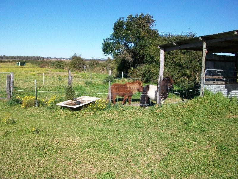 Millers Forest NSW 2324