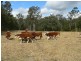 Limeburners Creek NSW 2324