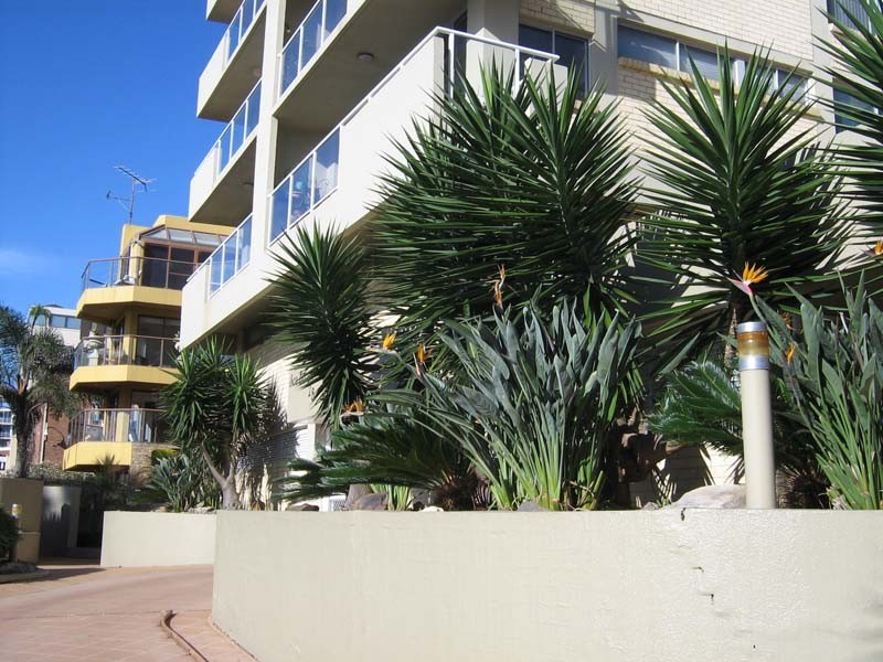 Wollongong North NSW 2500