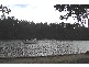 Picnic Point NSW 2213