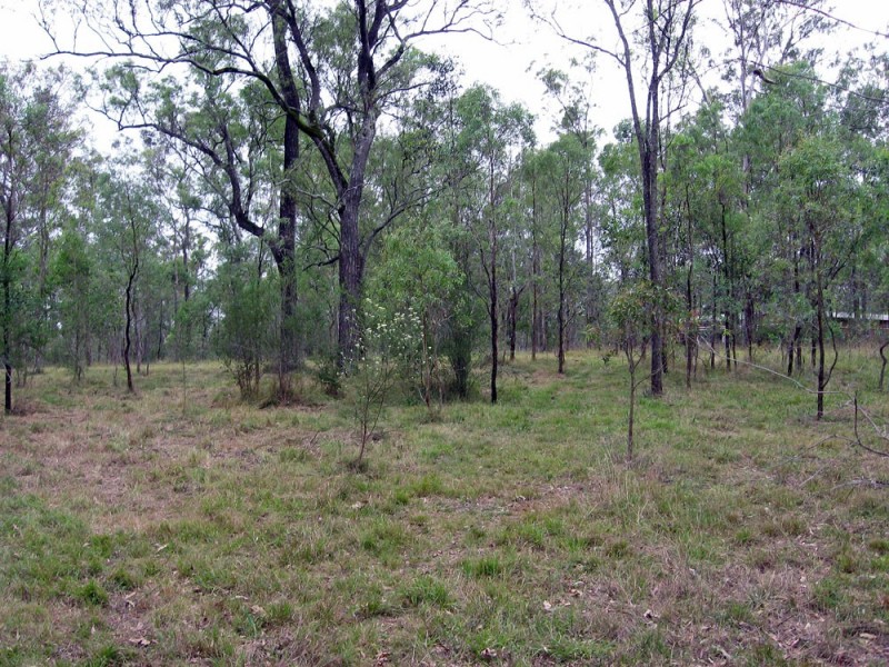 Lower Portland NSW 2756