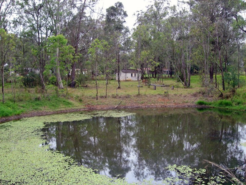 Lower Portland NSW 2756