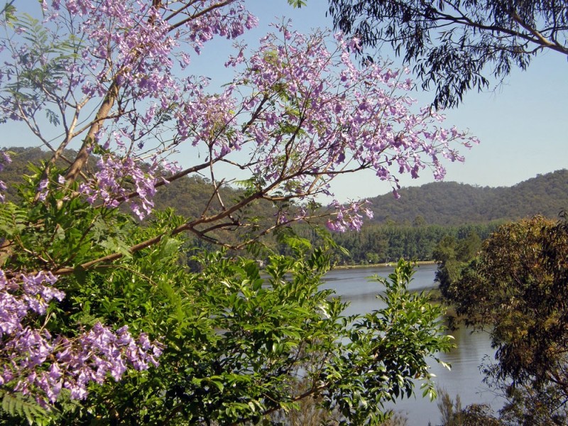 Lower Portland NSW 2756