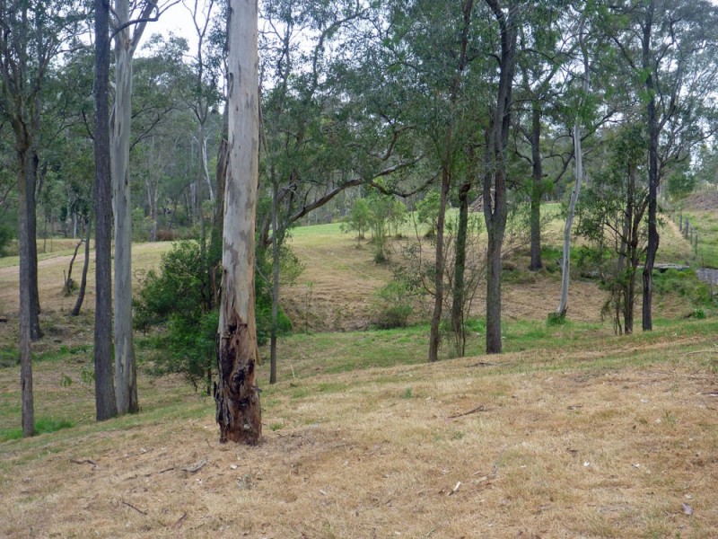 Cattai NSW 2756