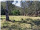 Colo NSW 2756