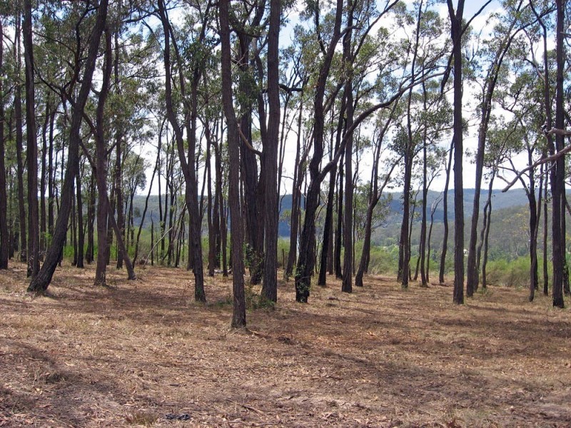 Lower Portland NSW 2756