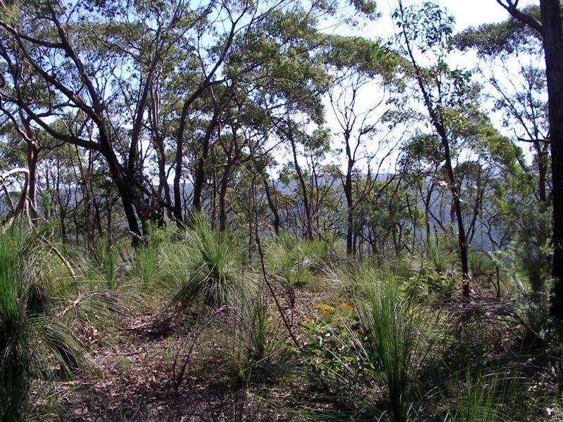 Putty NSW 2330