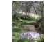 Putty NSW 2330