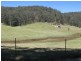 Putty NSW 2330