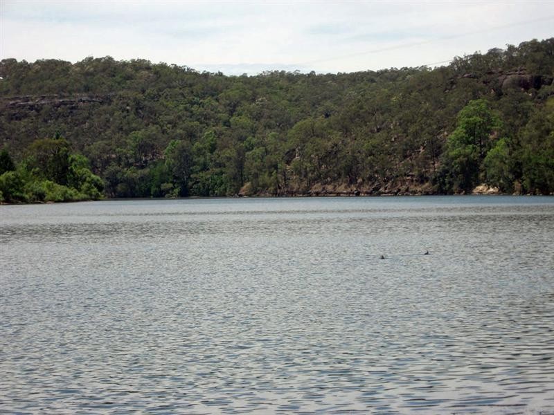 114 Manning Road, Sackville North NSW 2756