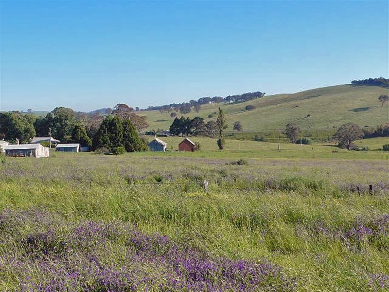 Orange NSW 2800