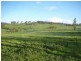 Orange NSW 2800