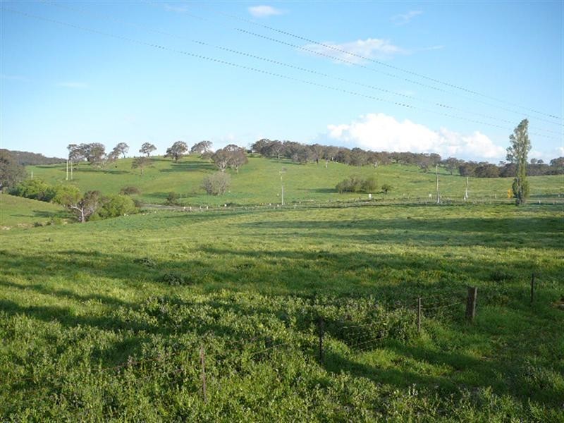 Orange NSW 2800