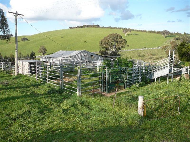 Orange NSW 2800
