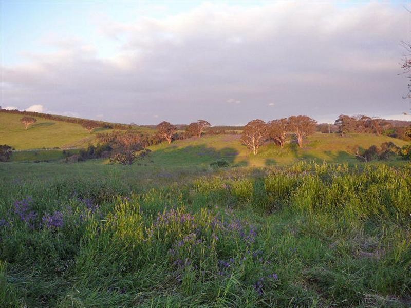Orange NSW 2800