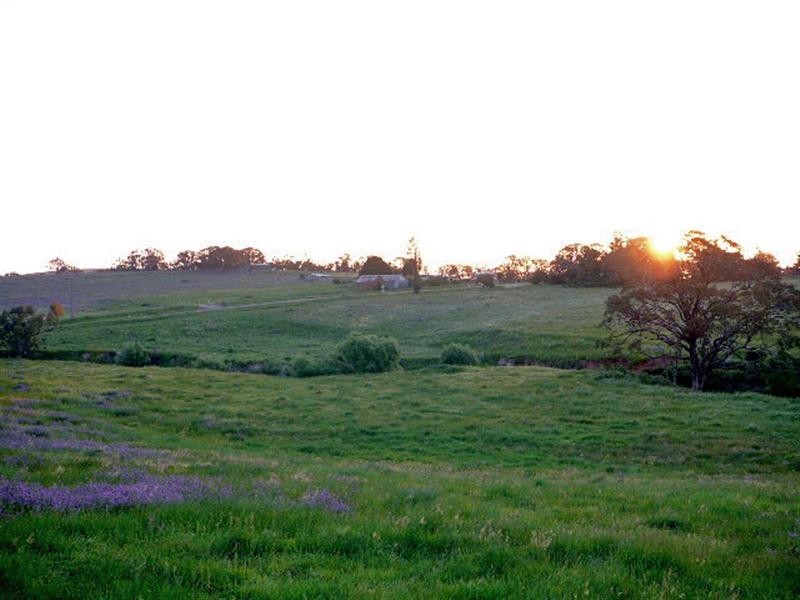 Orange NSW 2800