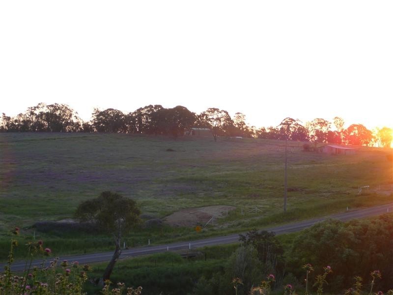 Orange NSW 2800