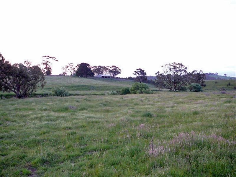 Orange NSW 2800