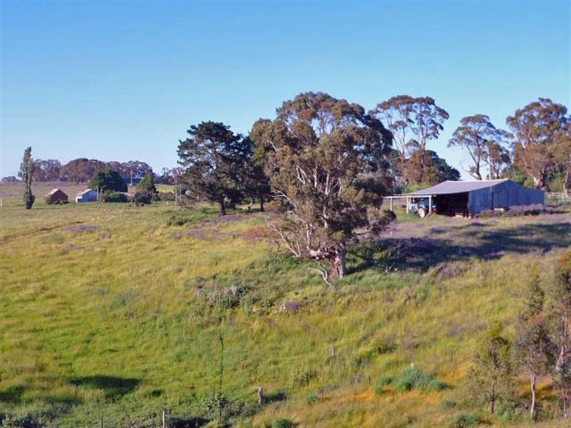 Orange NSW 2800