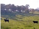 Orange NSW 2800