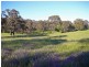 Orange NSW 2800