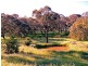 Orange NSW 2800