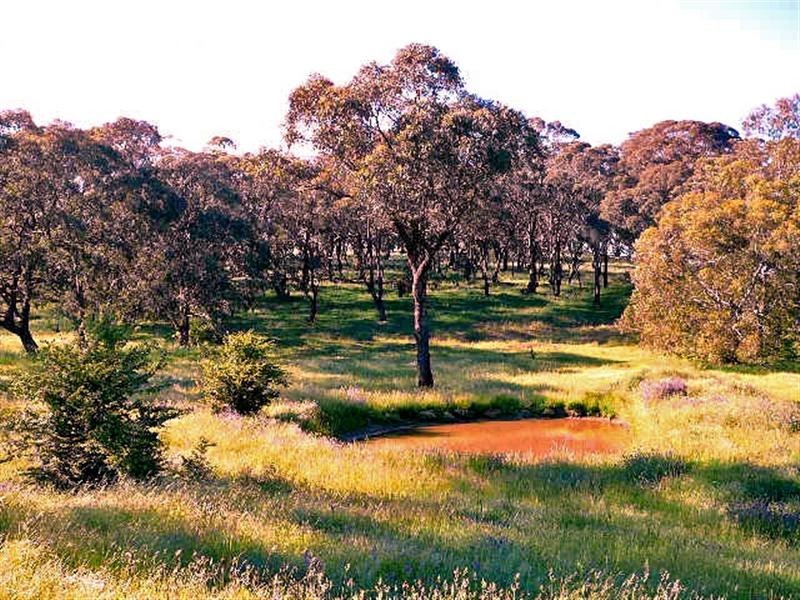 Orange NSW 2800