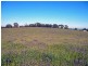 Orange NSW 2800